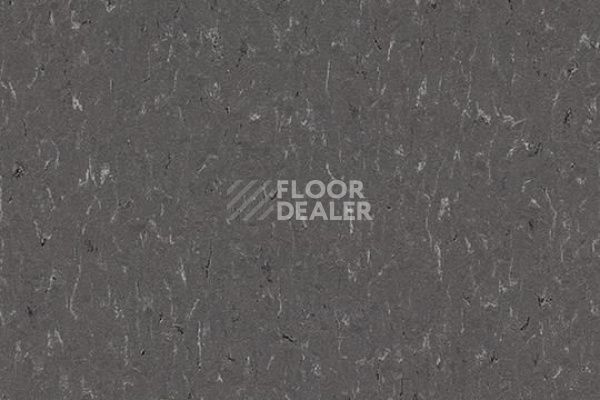 Линолеум Marmoleum Solid Piano 3607-360735 grey dusk фото 1 | FLOORDEALER